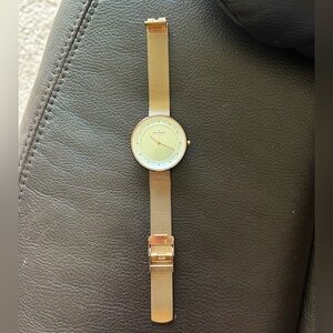 Gold SKAGEN watch